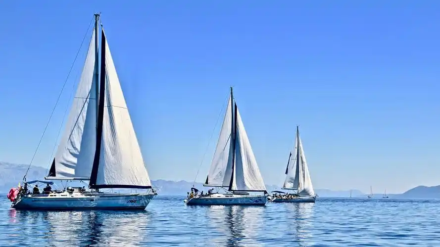 帆船在海上航行的照片