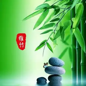 快乐的竹子头像