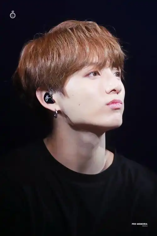 jungkook 田柾国 bts 防弹少年团 bts world tour love yourself