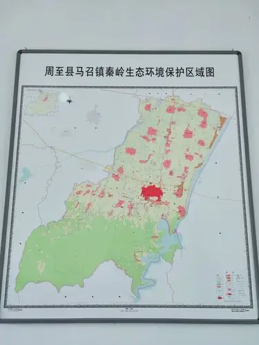 【周至县马召镇秦岭北麓网格化管理办公室】2020年6月22日网格化巡查