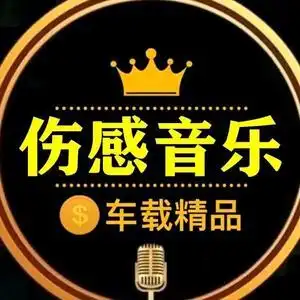 伤感音乐库头像
