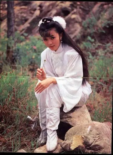 陈玉莲:清纯与美艳范儿.经典代表作:《神雕侠侣》,《天龙八部》.