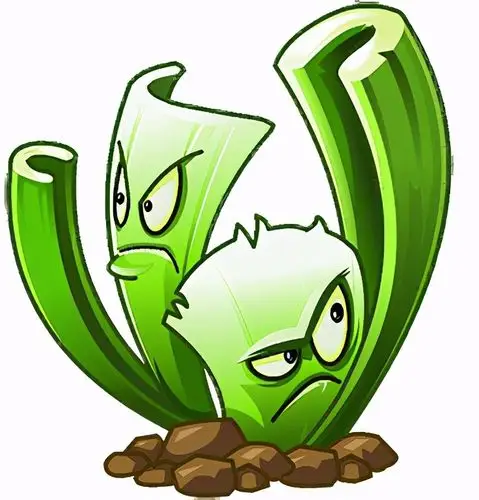 植物大战僵尸2哪些植物好用能够落地开大的植物推荐