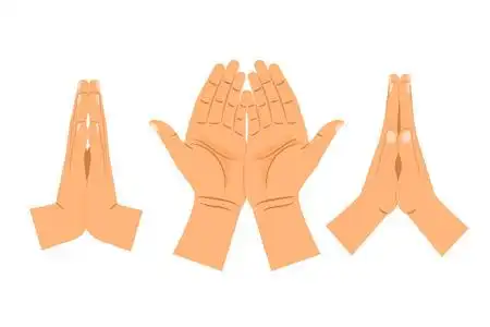 双手合掌矢量图照片