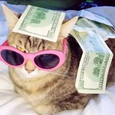 微信招财猫图片头像2022会带来好运的微信头像