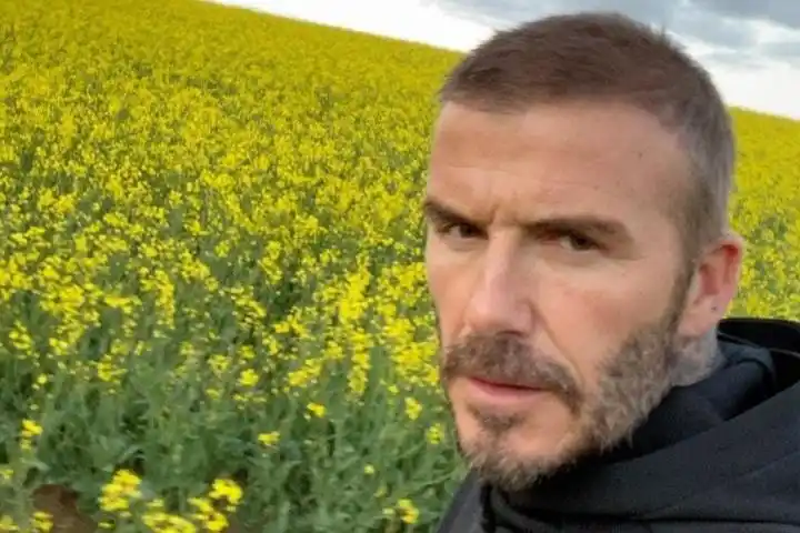 原创 笑哭!45岁贝克汉姆"秃头照"上全球热搜,本人忙拍视频自证发量