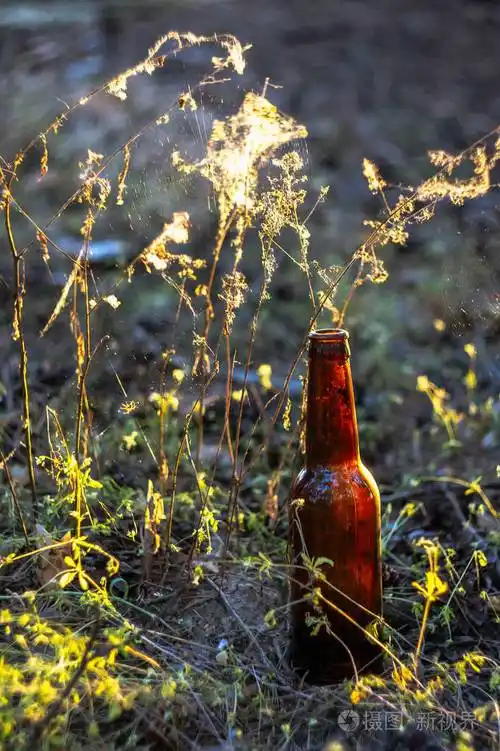 日落时蜘蛛网附近草地上的棕色啤酒瓶环境污染
