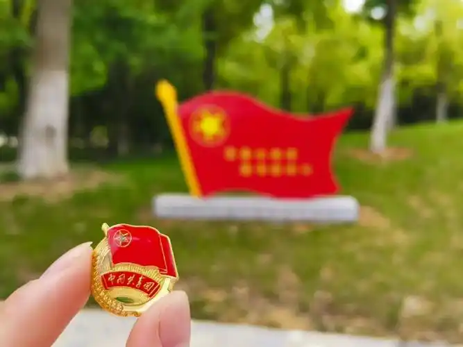 主题活动我校举行行走的团徽带你浏览不一样的合肥财经学院活动