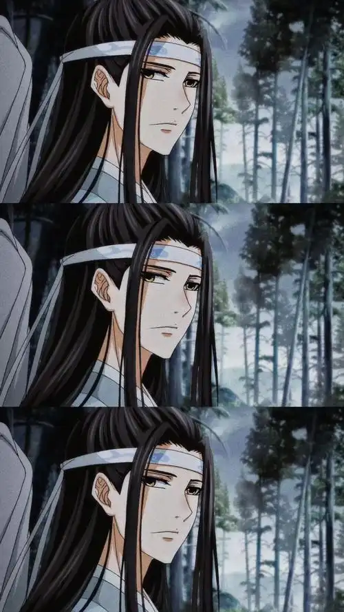 动漫 魔道祖师 蓝忘机 蓝湛 截图