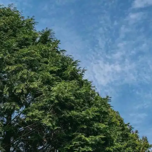 简单可爱的朋友圈背景图片朋友圈背景图干净整洁