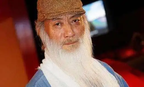 香港电影少林寺演员表(经典少林寺老片40部)(7)