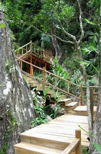 游霸王岭国家森林公园