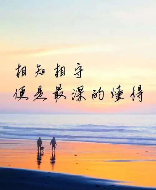 相知相守,便是最深的懂得