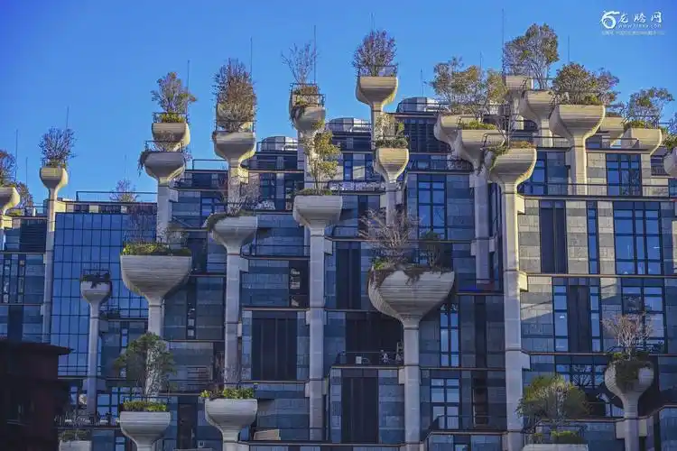 上海备受瞩目的网红建筑天安千树现实版巴比伦空中花园