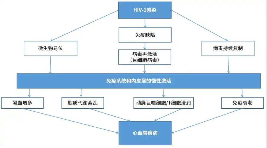 72hiv感染相关因素(图2);hiv感染者的心血管疾病发病机制尚未明确