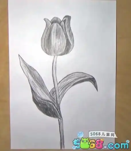 儿童才艺 儿童画初级 铅笔画     早晨,太阳出来了,郁金香花园的花朵