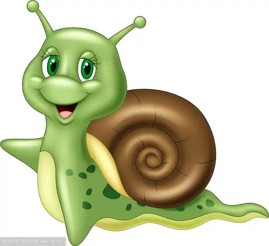 可爱的卡通蜗牛在白色的背景