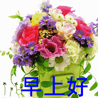 320_320gif 动态图 动图