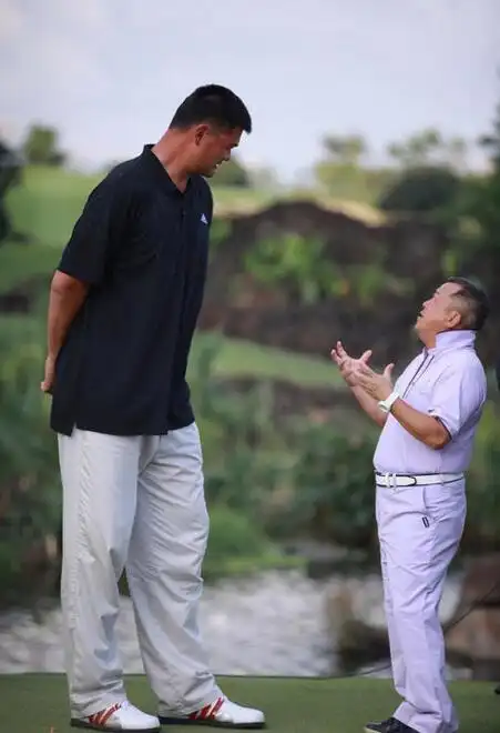 最后压轴当然是姚明和郭敬明啦