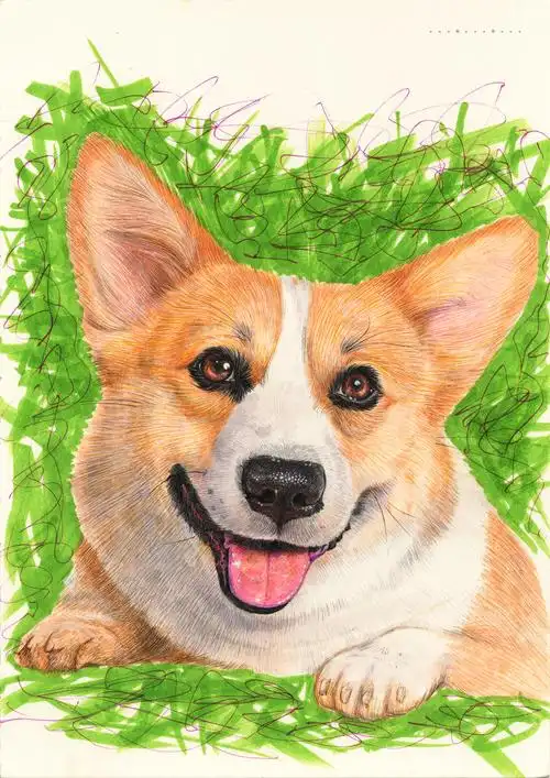 《生肖的凝望》马克笔纸本手绘