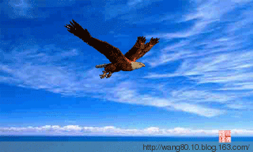 360_216gif 动态图 动图