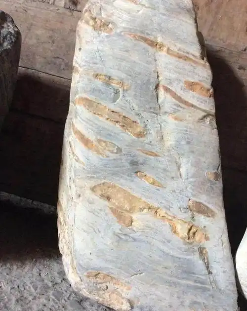 男子野外捡回一块满是窟窿的石头专家鉴定说很值钱