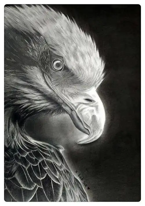 幸福原创画吧画友(12月24日)习作分享_作品