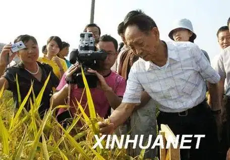 80岁袁隆平接受人口普查 亲热拍妻子称其贤内助