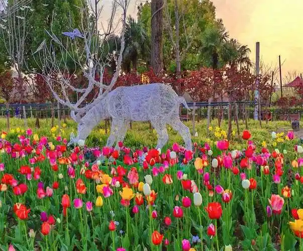 来一场浪漫的"春日之约"!上海静安大宁公园50万株郁金香绚烂绽放