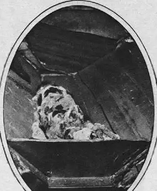 惊人真相,探秘慈禧地宫被盗之谜