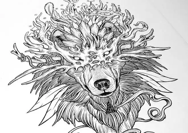 中国神妖大全之白泽白泽是一种能说人话通万物之情的神兽