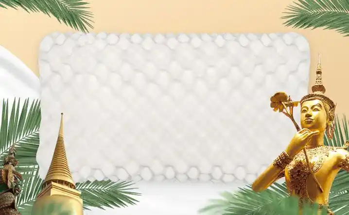 天猫双11卖爆的泰国乳胶枕