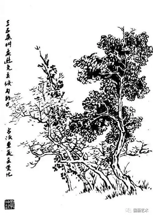 白描百树画谱中国名家示范树木的画法国画各种树的画法