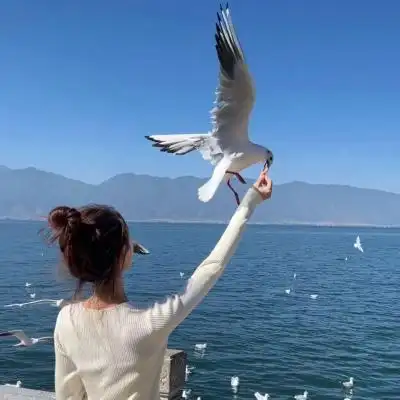 蓝色系背影女头★大风把烈酒吹醒 方知当初爱过全是梦_女生头像_我要