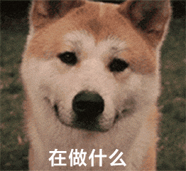 狗狗呆萌可爱斗图在做什么gif动图_动态图_表情包下载_soogif