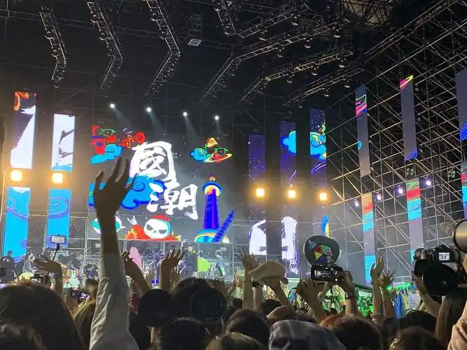 国潮音乐节102vip区域repo楼