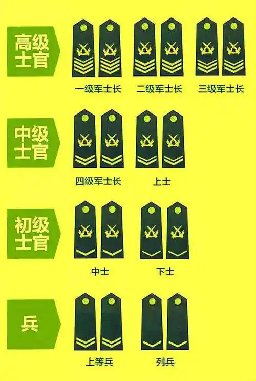 军衔等级肩章排列图片2022(军衔等级肩章排列图片武警)插图12