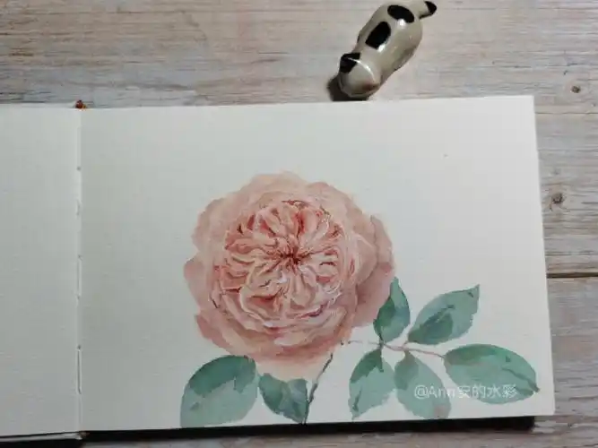 水彩  #画画的日常  #水彩画  #寻找小红书绘画大神  #水彩画教程