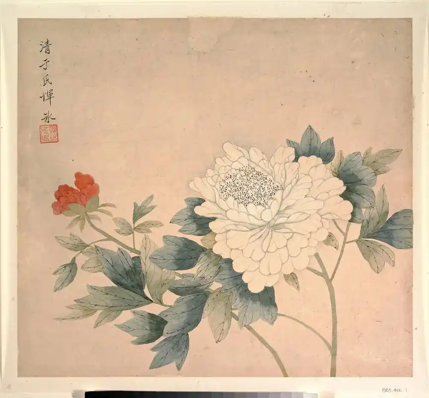 清.恽寿平花鸟册页清赏(二)#艺术 #国画 #花鸟画 #没骨 - 抖音