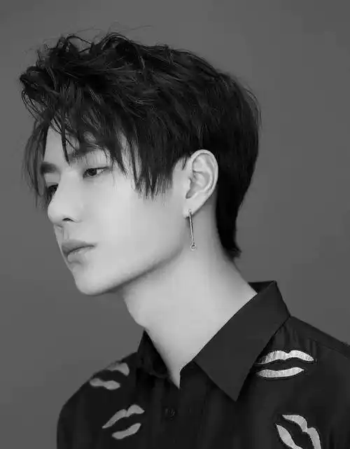 男明星黑白风大片:王一博任嘉伦氛围感十足,看到朱一龙太惊艳_感觉