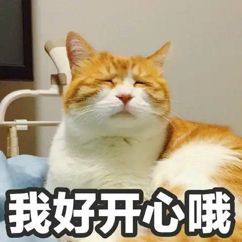 萌宠gif喵星人gif无语gif无奈gif难受gif不开心gif