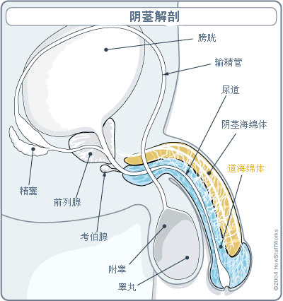 玉树临风的喜欢