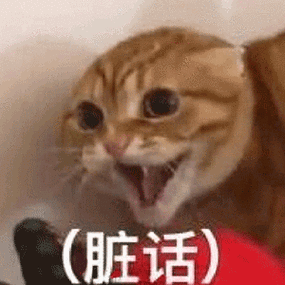 猫咪脏话表情包_猫咪_脏话表情
