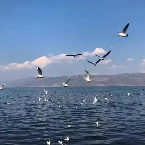 朋友圈封面图|好看的微信朋友圈背景图