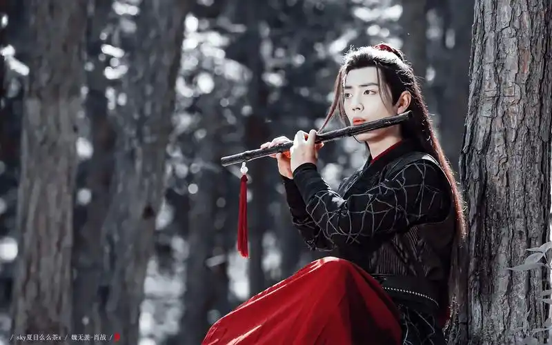 「陈情令·忘羡」离舟 | 可我担得起命运,也爱得起你,所以无惧风雨