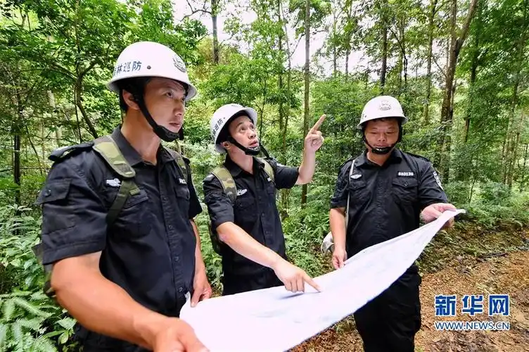 6月22日,永安市森林资源巡防大队巡防员在西洋镇黄达坑楠木林里进行