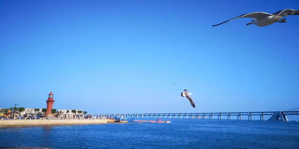 大连星海广场海滩