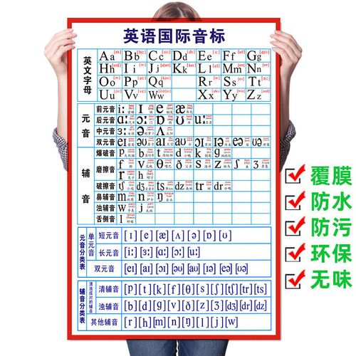 英语音标挂图48个国际音标表墙贴字母表元音辅音英语音标学音挂图