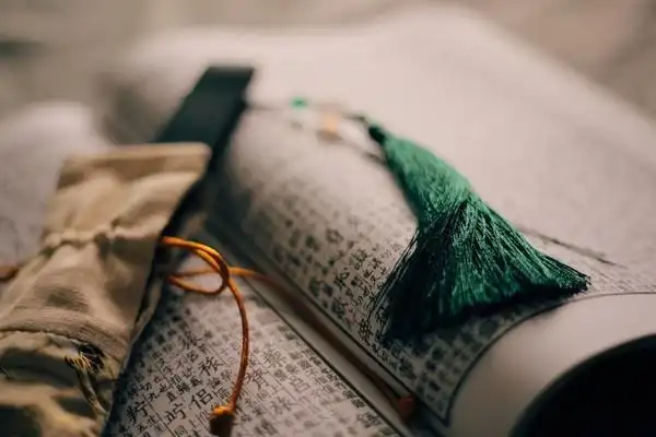 借一场古典的梦 与东坡热情相拥 《书香年华》由@傅礼拜推荐