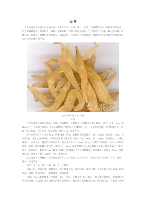 天冬的作用及功效